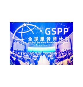 the-global-service-provider-program